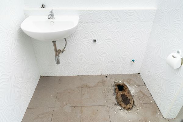 Toilet Disposal in Lafayette